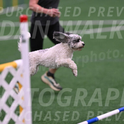 Daisy-Ann-Krizman-26152