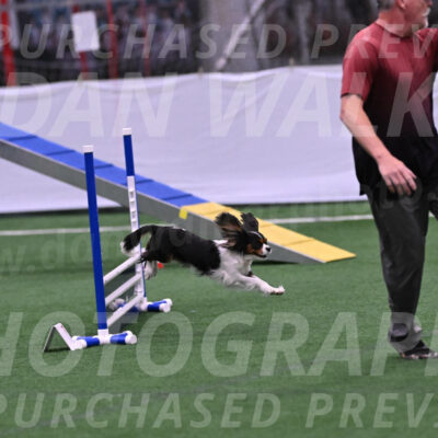 Daisy-Roger-Jones-04303
