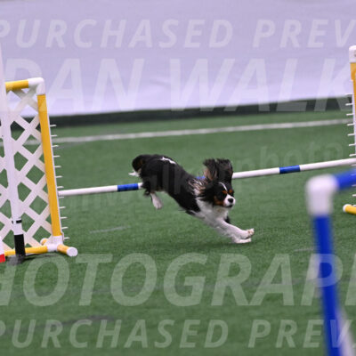 Daisy-Roger-Jones-04306