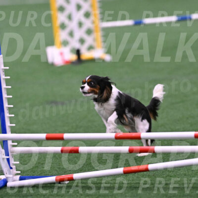 Daisy-Roger-Jones-04309