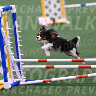 Daisy-Roger-Jones-04310