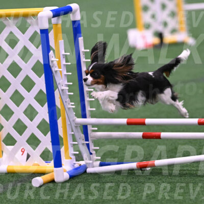 Daisy-Roger-Jones-04311