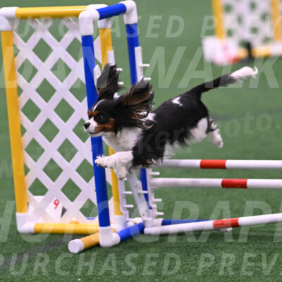 Daisy-Roger-Jones-04312