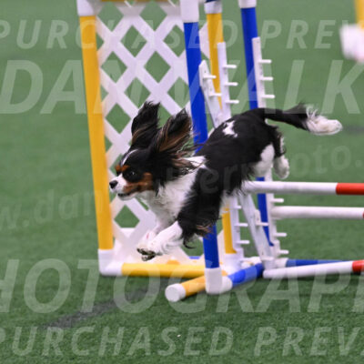 Daisy-Roger-Jones-04313