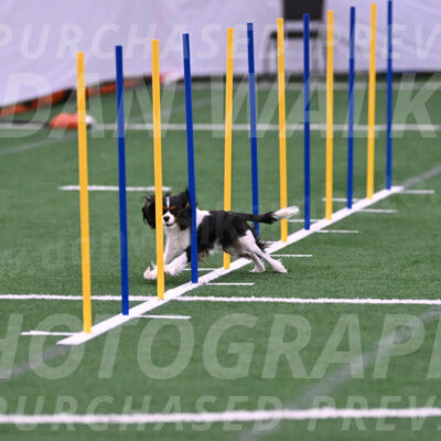 Daisy-Roger-Jones-04314