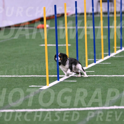 Daisy-Roger-Jones-04319