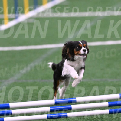 Daisy-Roger-Jones-04324