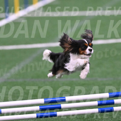 Daisy-Roger-Jones-04325