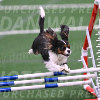 Daisy-Roger-Jones-04327