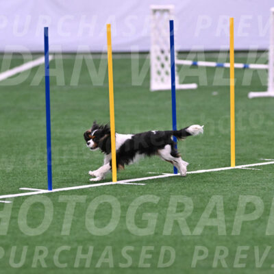 Daisy-Roger-Jones-04341