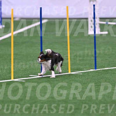 Daisy-Roger-Jones-04344