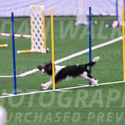 Daisy-Roger-Jones-04355