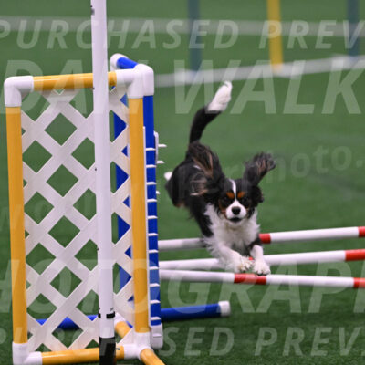 Daisy-Roger-Jones-04360