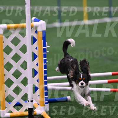 Daisy-Roger-Jones-04361