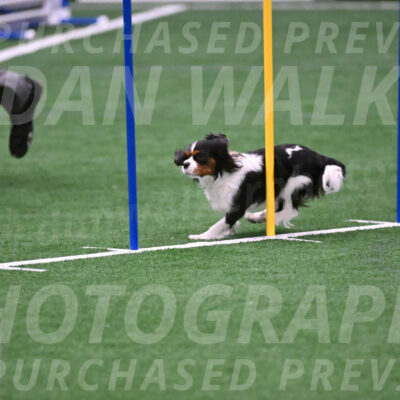 Daisy-Roger-Jones-04383