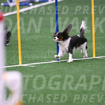 Daisy-Roger-Jones-04385