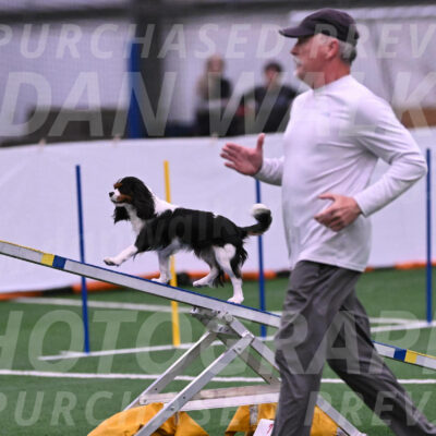 Daisy-Roger-Jones-04402