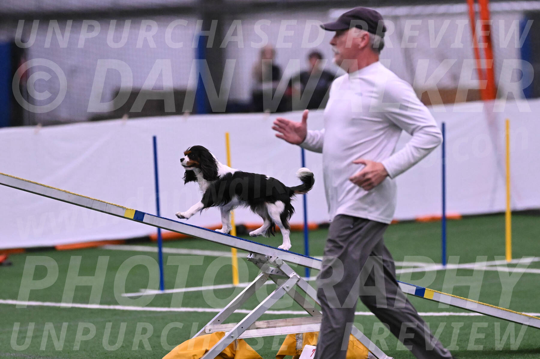 Daisy-Roger-Jones-04402