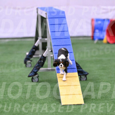 Daisy-Roger-Jones-04413