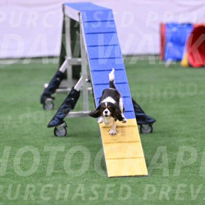Daisy-Roger-Jones-04414