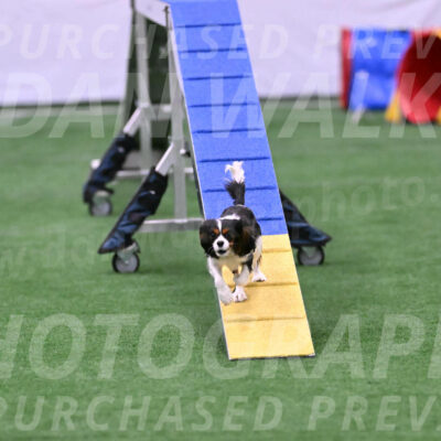 Daisy-Roger-Jones-04415