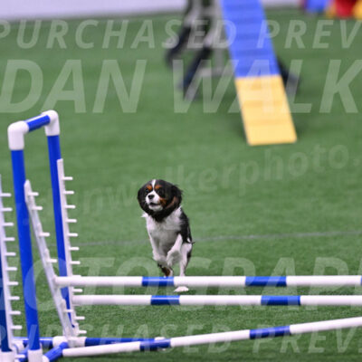 Daisy-Roger-Jones-04418