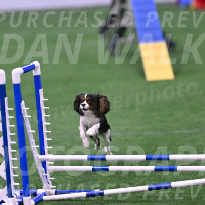 Daisy-Roger-Jones-04419