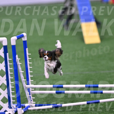 Daisy-Roger-Jones-04420
