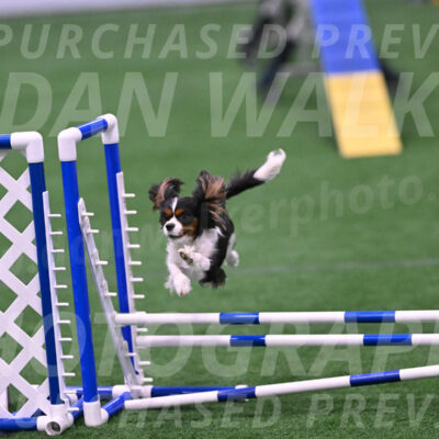 Daisy-Roger-Jones-04421