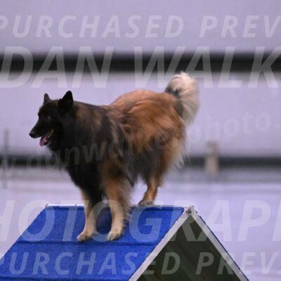 Deacon-Cynthia-Laub-00072
