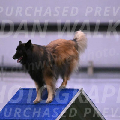 Deacon-Cynthia-Laub-00073