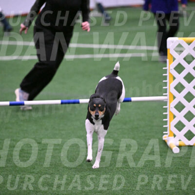 Basil-Cindy-Fink-06306
