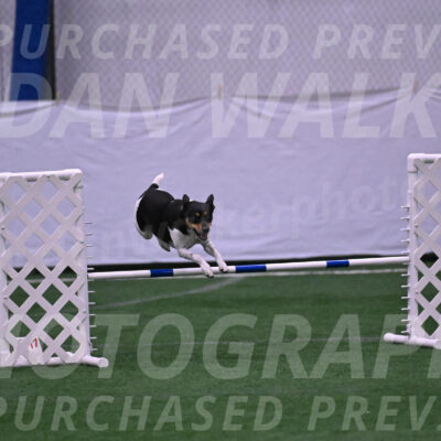 Basil-Cindy-Fink-06318