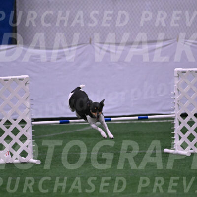 Basil-Cindy-Fink-06319