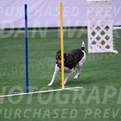 Basil-Cindy-Fink-06322