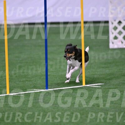 Basil-Cindy-Fink-06323