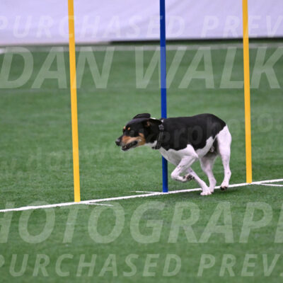 Basil-Cindy-Fink-06325