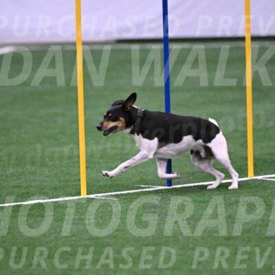 Basil-Cindy-Fink-06326