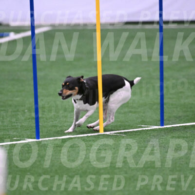 Basil-Cindy-Fink-06329
