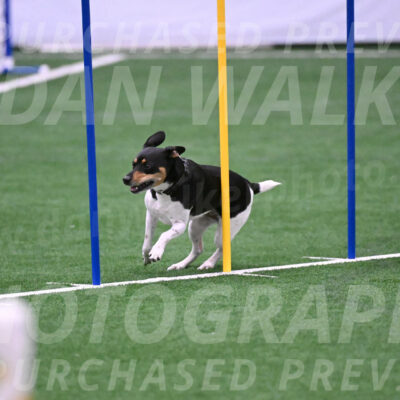 Basil-Cindy-Fink-06330
