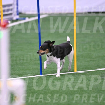 Basil-Cindy-Fink-06331