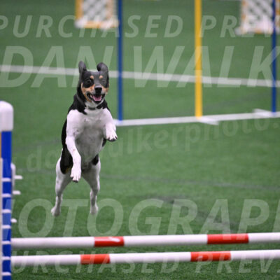 Basil-Cindy-Fink-06348