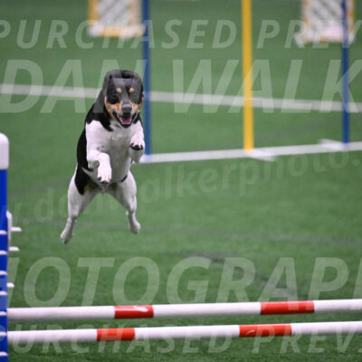 Basil-Cindy-Fink-06349