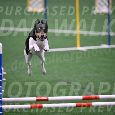 Basil-Cindy-Fink-06350