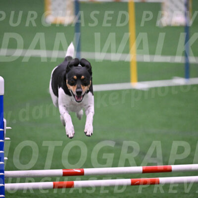 Basil-Cindy-Fink-06352