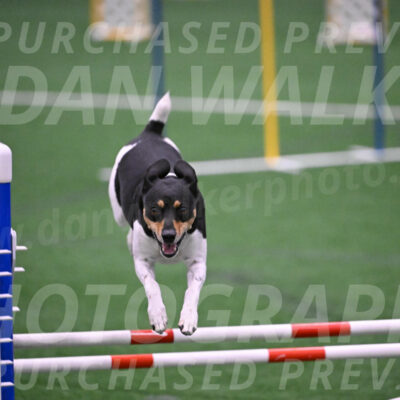 Basil-Cindy-Fink-06353