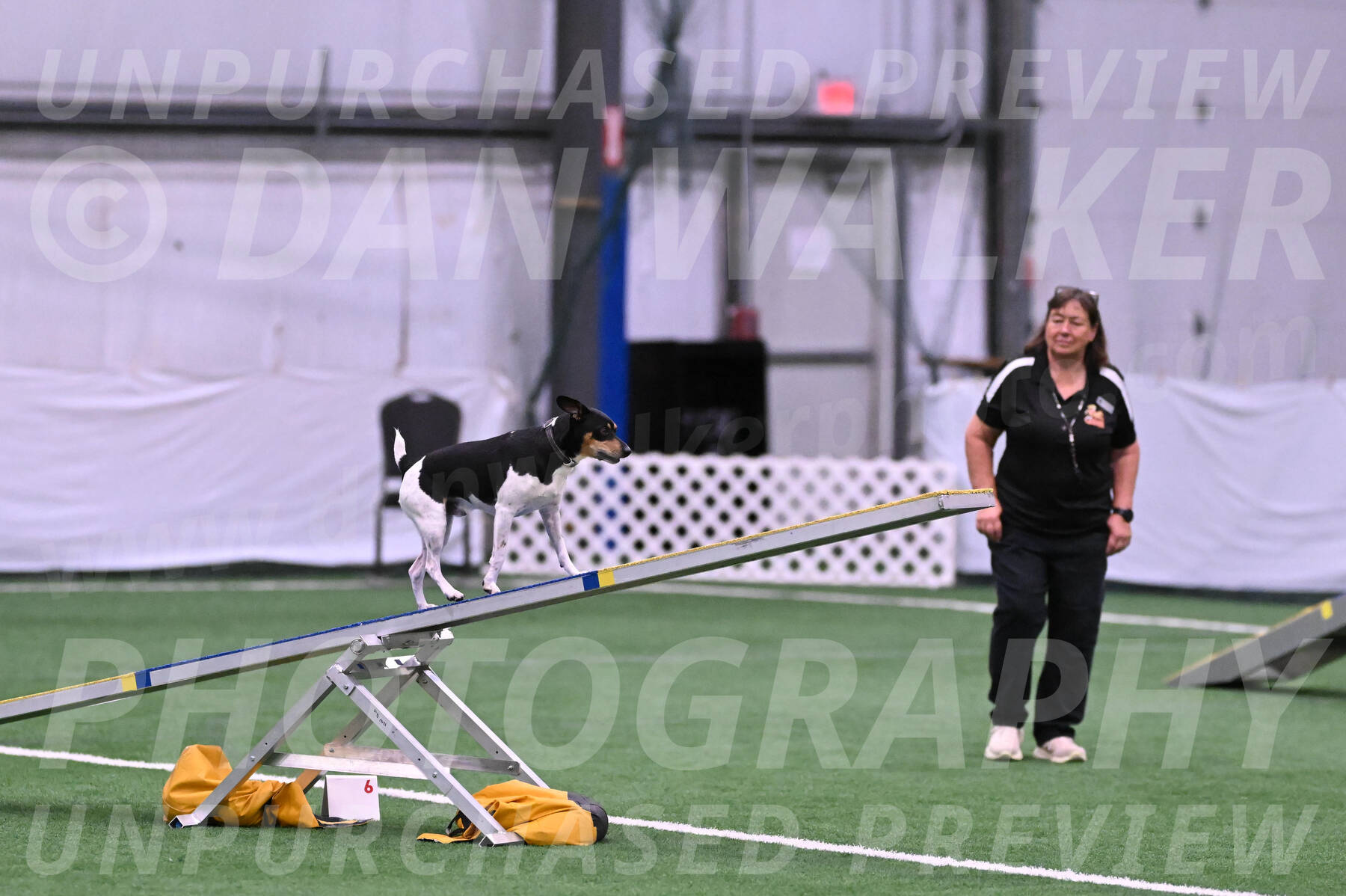 Denver-Sue-McGinty-06593