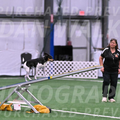 Denver-Sue-McGinty-06593