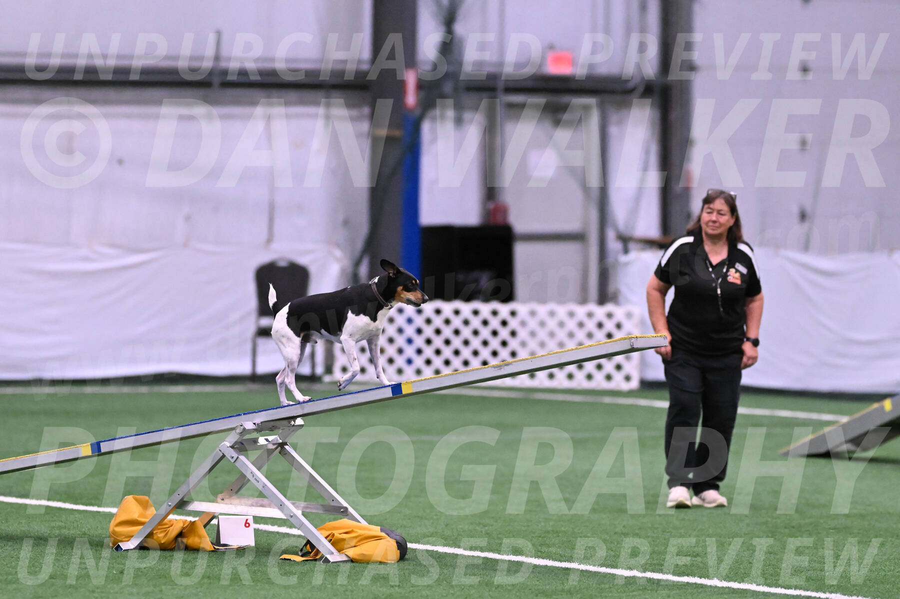 Denver-Sue-McGinty-06594