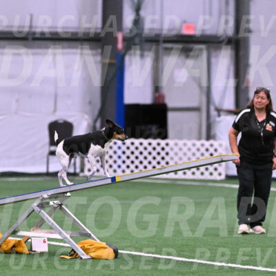 Denver-Sue-McGinty-06594